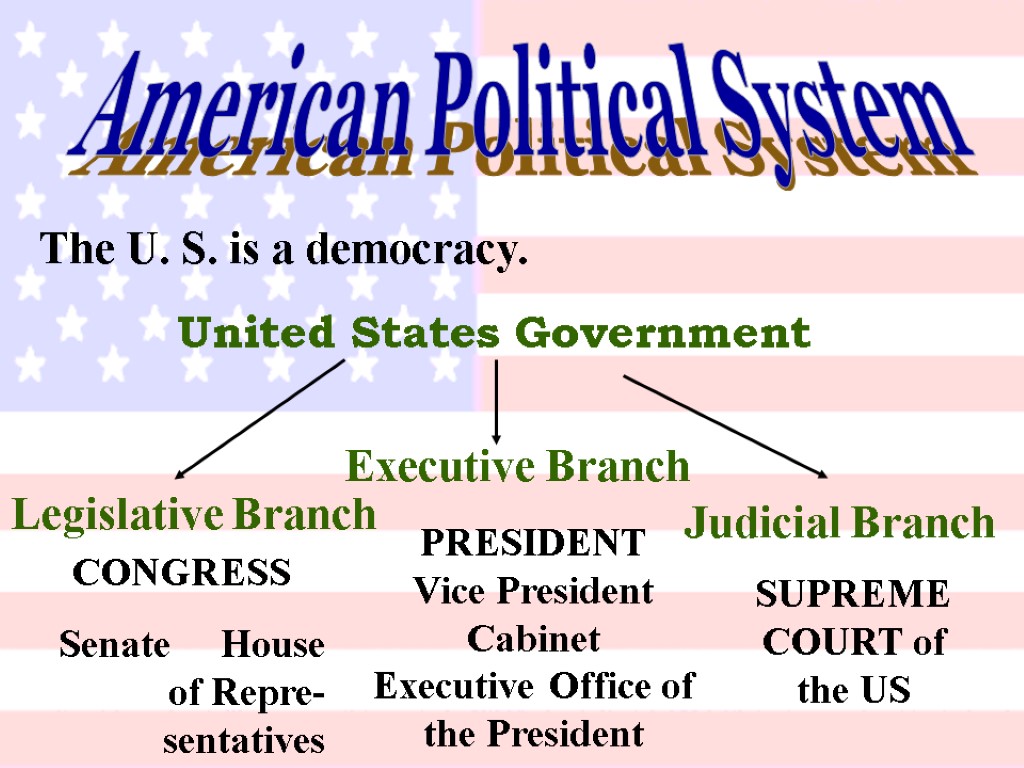 American Political System The U. S. is a democracy. United States Government Legislative Branch